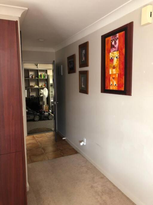 Sunny, Quiet, 2-Bedroom Unit In Fabulous Location! Cambridge Exterior photo
